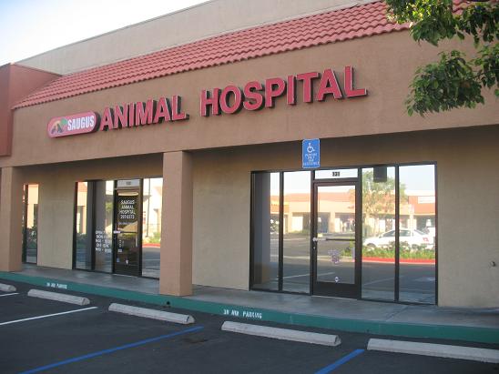 Saugus Animal Hospital - Veterinarian in Saugus, CA US